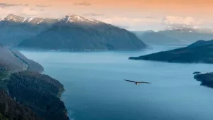 College Fjord een highlight tijdens de begeleide cruisetour naar Alaska – Dock C Cruisepartners College Fjord een highlight tijdens de begeleide cruisetour naar Alaska - Dock C Cruisepartners