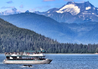 Verken Juneau hoofdstad van Alaska tijdens cruisereis | Dock C Cruisepartners