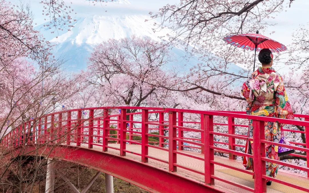 Japan in bloei
