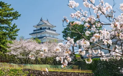Hoogtepunten van Japan: Kyoto, Hiroshima & Busan