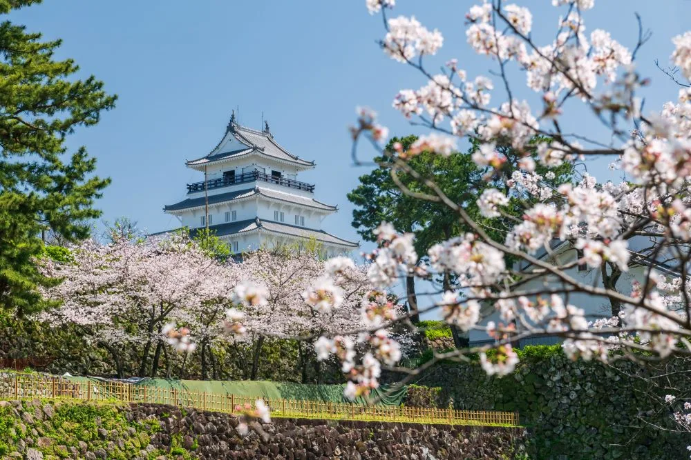 Hoogtepunten van Japan: Kyoto, Hiroshima & Busan