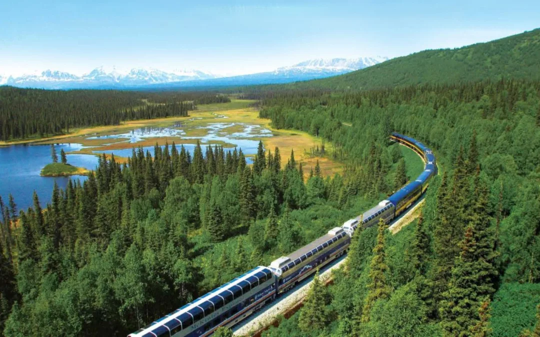 Alaska cruise met Nederlandse reisbegeleiding
