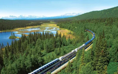 Alaska cruise met Nederlandse reisbegeleiding